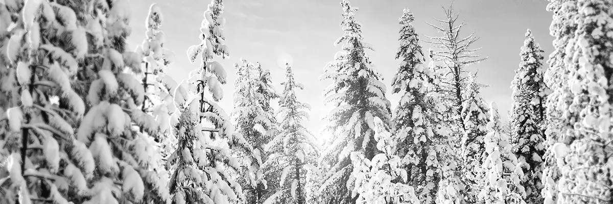 Location de ski en Andorre : découvrez nos offres à Pas de la Casa et Canillo pour une journée parfaite en montagne.